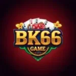 BK66