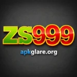 ZS999