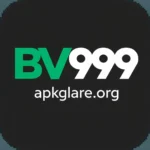 bv999