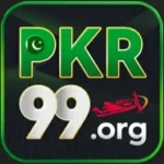 PKR99 Logo Image