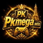 pkmege logo image