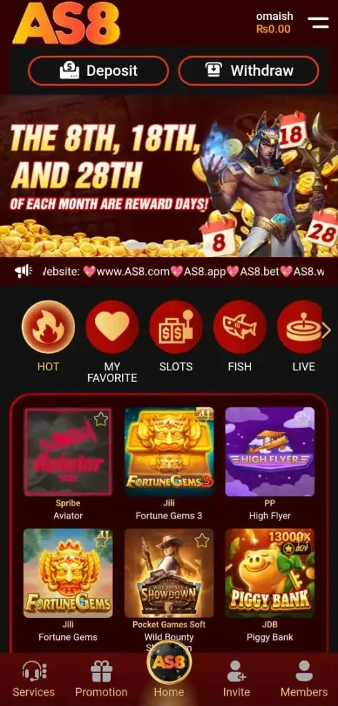AS8 interface image