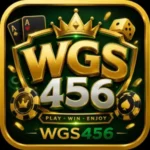 WGS456 logo image