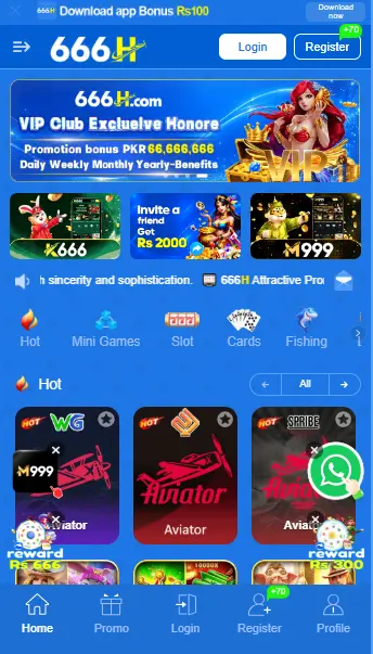 666H Interface